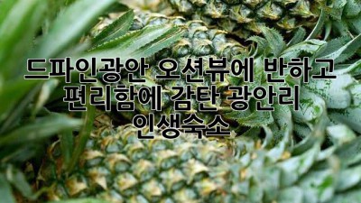 드파인광안🌊 오션뷰에 반하고 편리함에 감탄! #광안리 #인생숙소