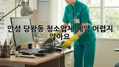 안성 당왕동 청소업체 예약, 어렵지 않아요!