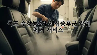 목포 수강동2가 새집증후군 악취 제거 서비스